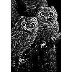Scratch Boards and Paper