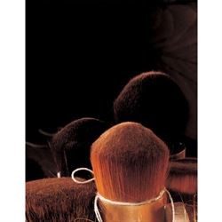 Raphael Fine Art Brushes