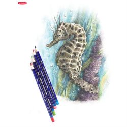 Pencils and Colouring and Watercolour Pencils