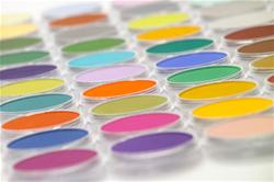 PanPastel (Singles)