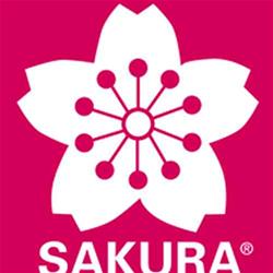 Sakura (Pigma)